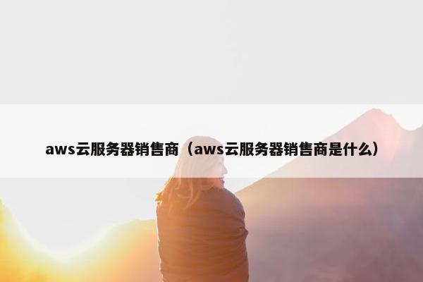 aws云服务器销售商（aws云服务器销售商是什么）
