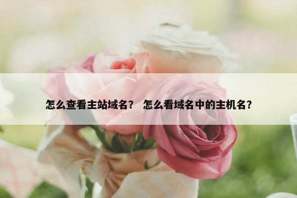 怎么查看主站域名？ 怎么看域名中的主机名？