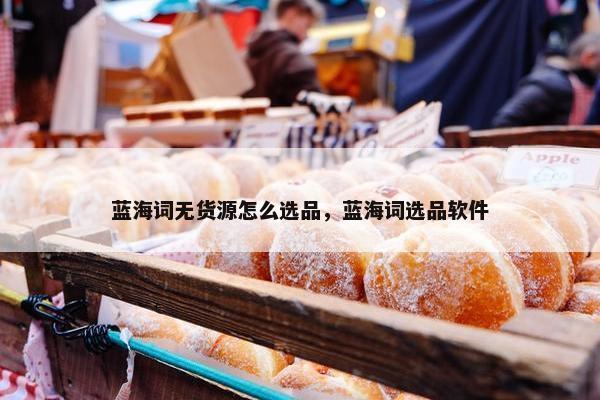 蓝海词无货源怎么选品，蓝海词选品软件