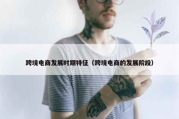 跨境电商发展时期特征（跨境电商的发展阶段）