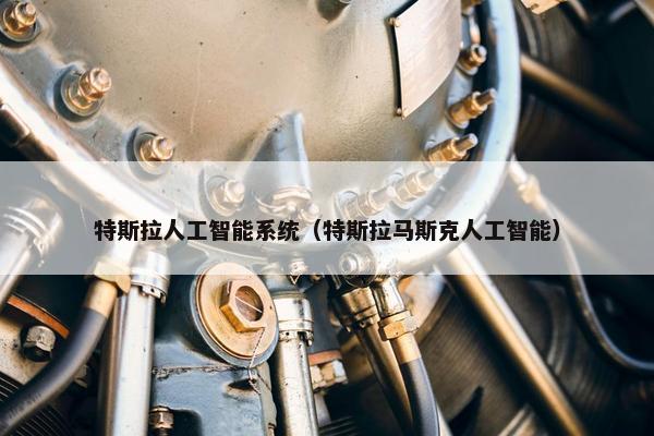 特斯拉人工智能系统（特斯拉马斯克人工智能）