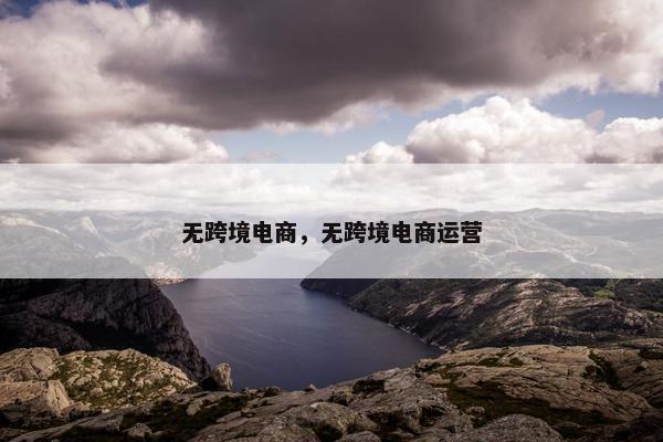 无跨境电商，无跨境电商运营