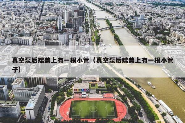 真空泵后端盖上有一根小管（真空泵后端盖上有一根小管子）