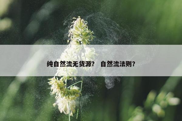 纯自然流无货源？ 自然流法则？