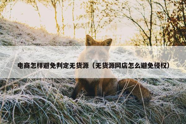 电商怎样避免判定无货源（无货源网店怎么避免侵权）