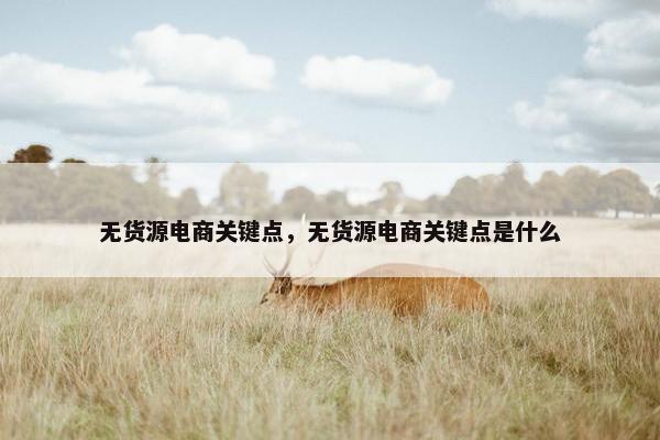 无货源电商关键点，无货源电商关键点是什么