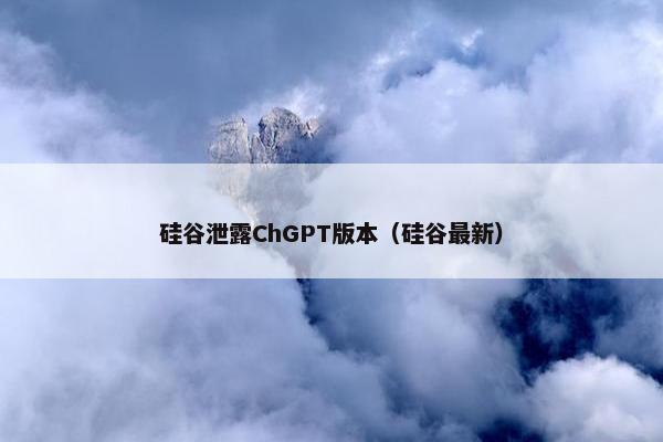 硅谷泄露ChGPT版本（硅谷最新）