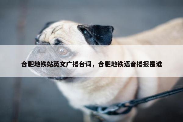 合肥地铁站英文广播台词，合肥地铁语音播报是谁