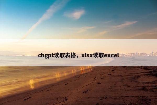 chgpt读取表格，xlsx读取excel