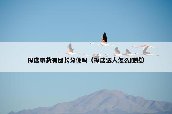 探店带货有团长分佣吗（探店达人怎么赚钱）