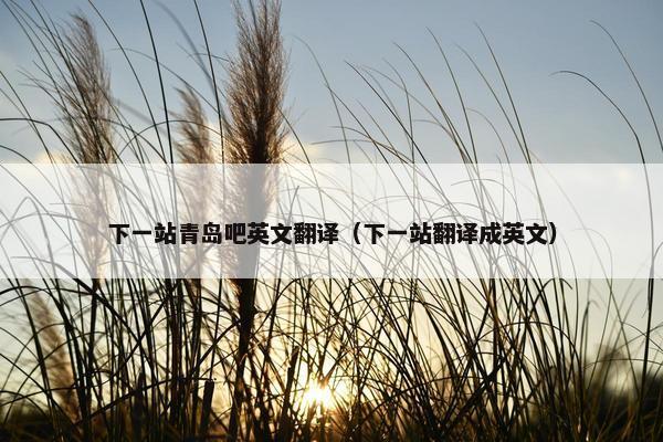 下一站青岛吧英文翻译（下一站翻译成英文）