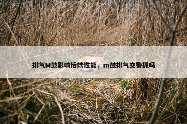 排气M鼓影响后端性能，m鼓排气交警抓吗