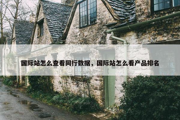国际站怎么查看同行数据，国际站怎么看产品排名