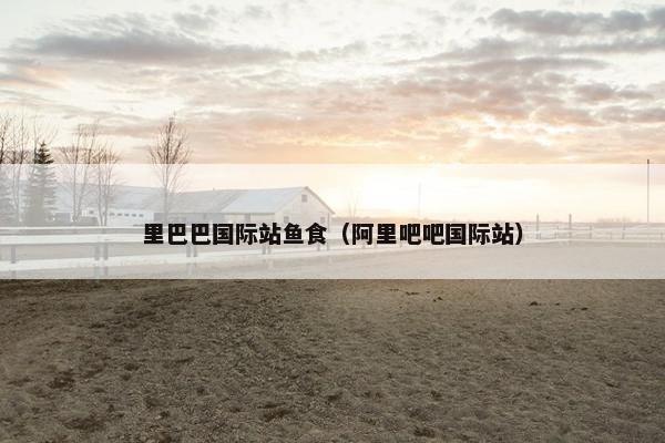 里巴巴国际站鱼食（阿里吧吧国际站）