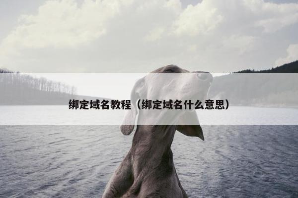 绑定域名教程（绑定域名什么意思）