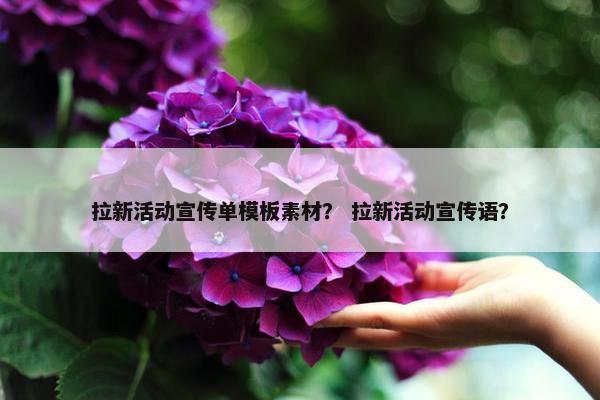 拉新活动宣传单模板素材？ 拉新活动宣传语？