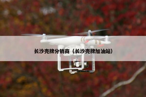 长沙壳牌分销商（长沙壳牌加油站）