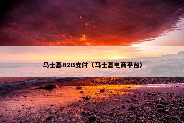 马士基B2B支付（马士基电商平台）