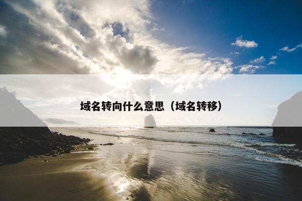 域名转向什么意思（域名转移）