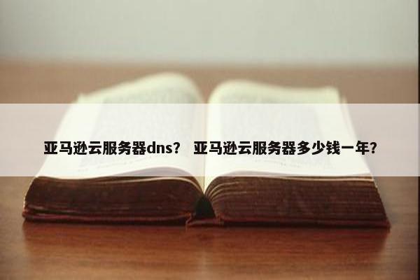 亚马逊云服务器dns？ 亚马逊云服务器多少钱一年？