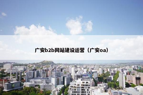 广安b2b网站建设运营（广安oa）