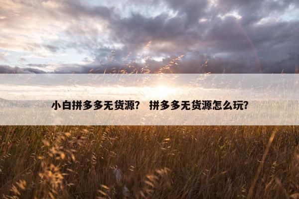 小白拼多多无货源？ 拼多多无货源怎么玩？