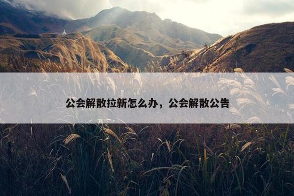 公会解散拉新怎么办，公会解散公告