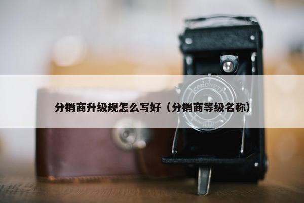 分销商升级规怎么写好（分销商等级名称）