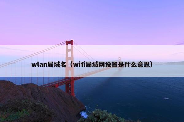 wlan局域名（wifi局域网设置是什么意思）