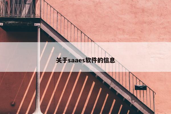 关于saaes软件的信息