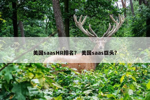 美国saasHR排名？ 美国saas巨头？