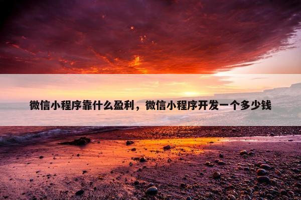 微信小程序靠什么盈利，微信小程序开发一个多少钱