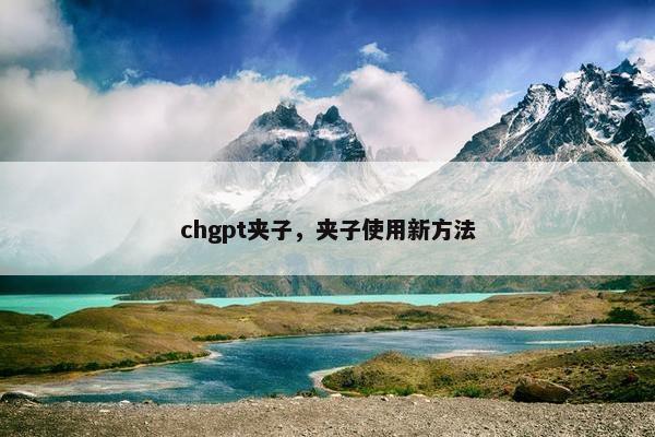 chgpt夹子，夹子使用新方法