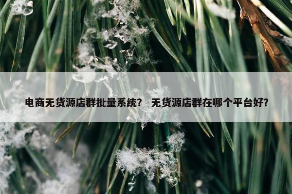 电商无货源店群批量系统？ 无货源店群在哪个平台好？