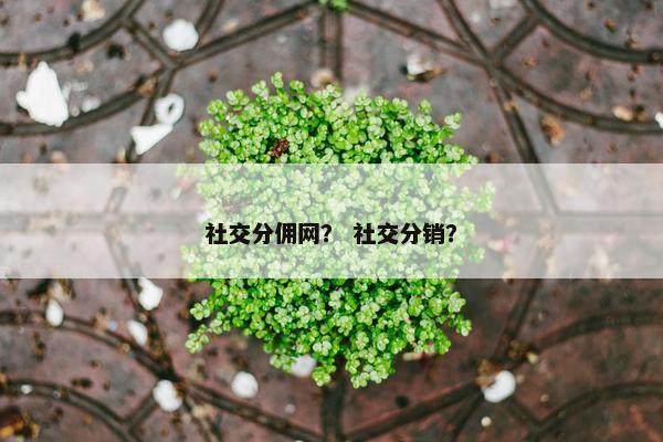 社交分佣网？ 社交分销？