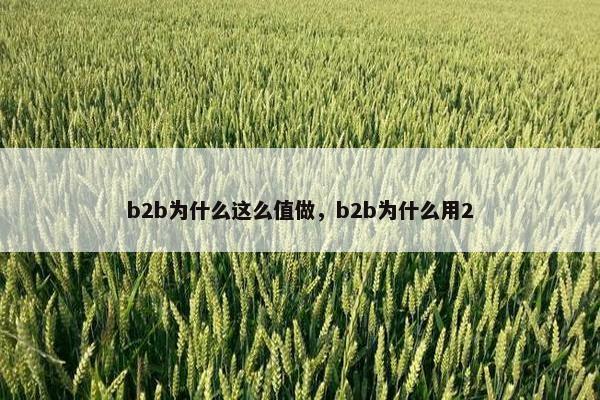 b2b为什么这么值做，b2b为什么用2