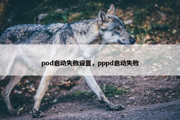 pod启动失败设置，pppd启动失败