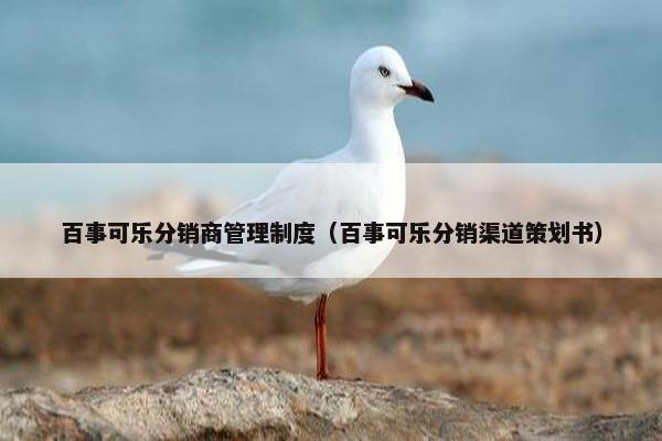 百事可乐分销商管理制度（百事可乐分销渠道策划书）