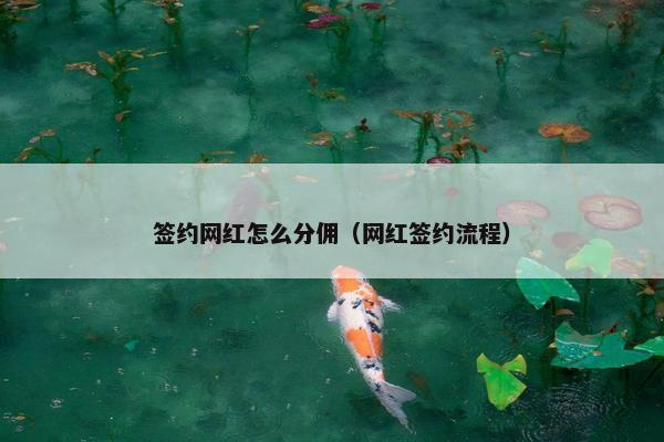 签约网红怎么分佣（网红签约流程）