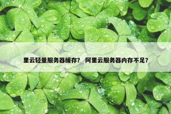 里云轻量服务器缓存？ 阿里云服务器内存不足？