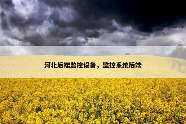 河北后端监控设备，监控系统后端