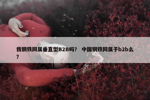 我钢铁网属垂直型B2B吗？ 中国钢铁网属于b2b么？