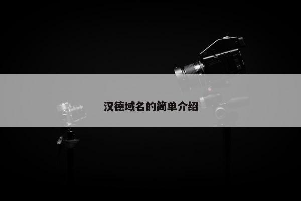汉德域名的简单介绍