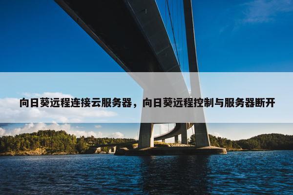 向日葵远程连接云服务器，向日葵远程控制与服务器断开