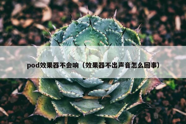 pod效果器不会响（效果器不出声音怎么回事）
