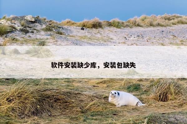软件安装缺少库，安装包缺失