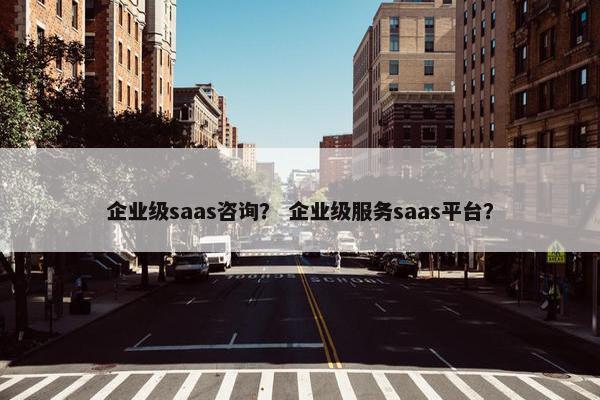 企业级saas咨询？ 企业级服务saas平台？