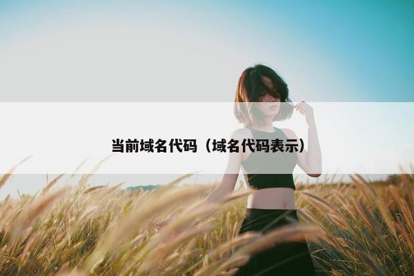 当前域名代码（域名代码表示）