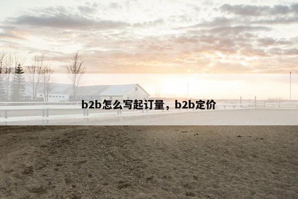 b2b怎么写起订量，b2b定价