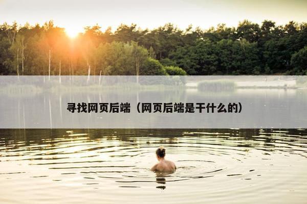 寻找网页后端（网页后端是干什么的）